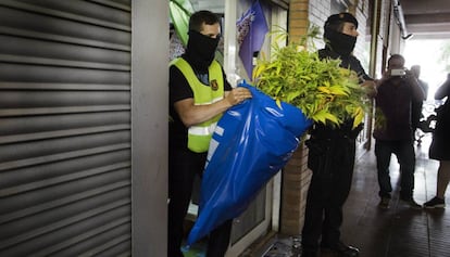 Els Mossos en una operació contra el tràfic de marihuana a Barcelona.