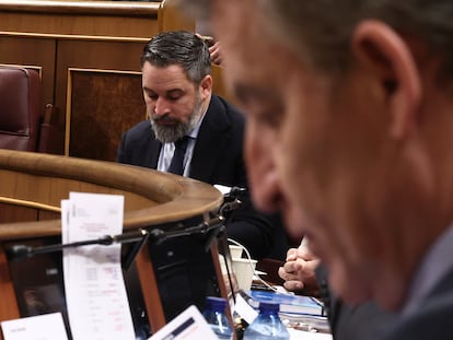 El líder de VOX, Santiago Abascal, y el del PP, Alberto Núñez Feijóo, en la bancada del Congreso, en marzo pasado. Feijóo propone un visado por puntos para inmigrantes condicionado a trabajos donde “falta mano de obra” y con una “cultura” próxima.
