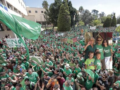 La ‘marea verde’ en una de las protestas de esta semana en Palma.