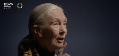 La célebre primatóloga Jane Goodall, en una charla de 'Aprendemos juntos'.