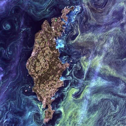 Vista de unas enormes congregaciones de fitoplancton verdoso, que se arremolinan en las aguas oscuras alrededor de la isla de Gotland (Suecia) y que recuerdan a la pintura de Van Gogh 'La noche estrellada'. La imagen fue tomada el 13 de julio de 2005