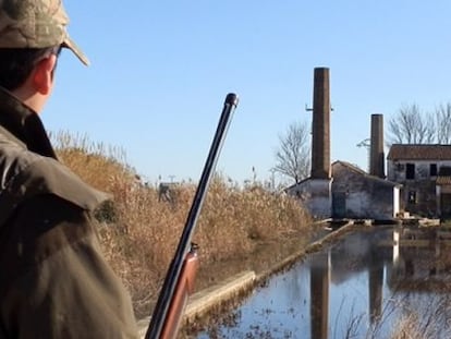 Un cazador en el t&eacute;rmino municipal de Sueca.