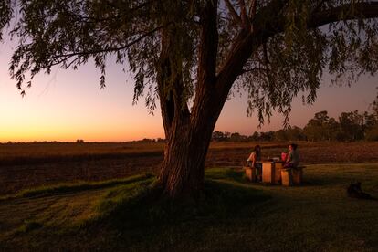 Dos amigas toman mate frente a Laguna de Navarro, durante la sequía de marzo de 2023, en Buenos Aires, Argentina.