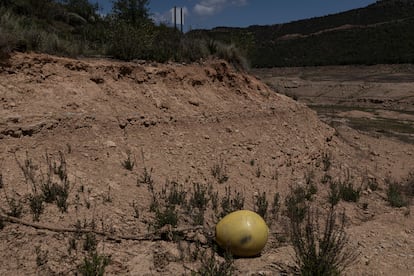 Una boya donde debería haber agua en el pantano de Rialb