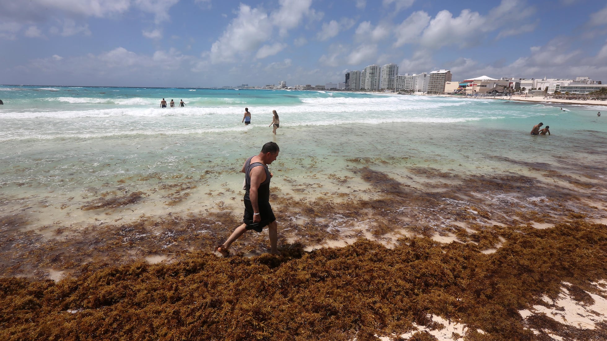 El potencial del sargazo: cuando el gran problema del Caribe se convierte en materia prima | América Futura | EL PAÍS América