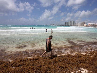 Un turista camina por una playa de Cancún cubierta de sargazo, el 5 de abril de 2022.
