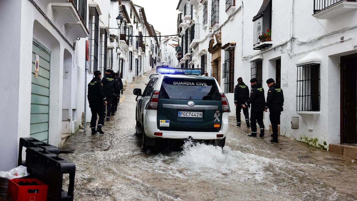 グラサレマの騒音と「ハム」とマラガの地震活動：嵐の間にアンダルシアの地下で何が起こっているのか |科学