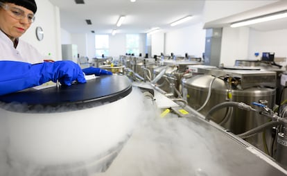 Una técnica de laboratorio del Banco de Células Madre DKMS, junto a un tanque criogénico que conserva células madre.