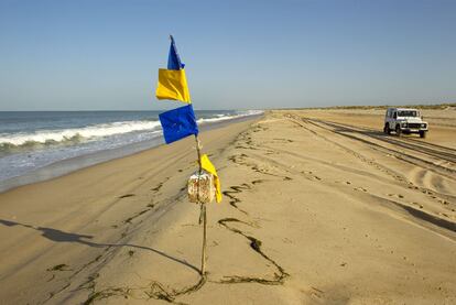 Una de las zonas de playa del espacio protegido de Doñana, en la provincia de Huelva.