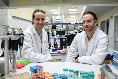 Los investigadores Iñaki Martín-Subero (izq.) y Martí Duran-Ferrer, en un laboratorio del Idibaps, en Barcelona.