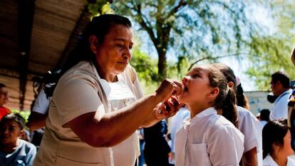 Teste em estudantes para encontrar o vírus chikungunya.