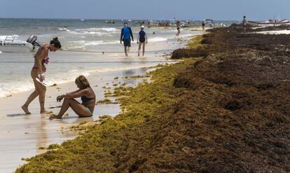 Unas turistas aprovechan el día de playa en Tulum pese a la llegada masiva de algas a las costas del caribe mexicano.