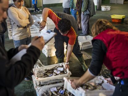 Imagen de una lonja de pescado.