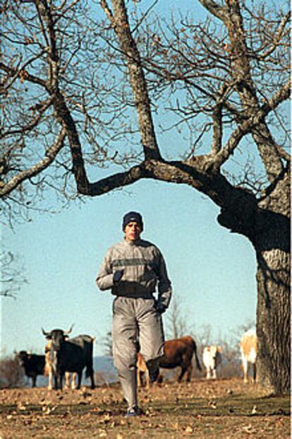 Reyes Estévez, entrenándose entre las vacas en el monte soriano de Valonsadero.