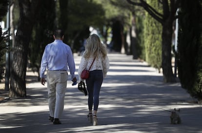 Una pareja pasea a su mascota en Madrid.
