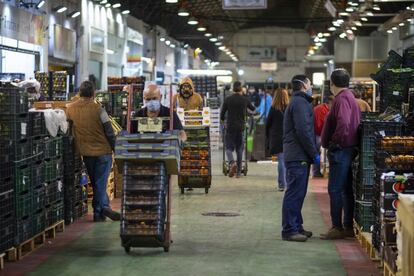 Mercasevilla se encuentra entre los tres primeros puntos de comercialización de fruta en España. Tres naves se usan para la comercialización en un total de 23.200 metros cuadrados edificados. Actualmente existen un total de 76 'cuarteados' o puestos de mayoristas de fruta.