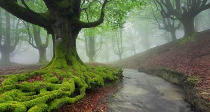 Otzarreta, en el parque natural Urkiola (Pa&iacute;s Vasco).