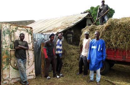 El propietario agrícola Alhagie Njai Manka junto a jóvenes del pueblo Madina Serigne Mass.