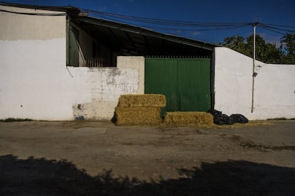 En la Cañada hay muchos negocios: talleres, chatarrerías, cuadras, granjas… En la imagen, una del sector 3.