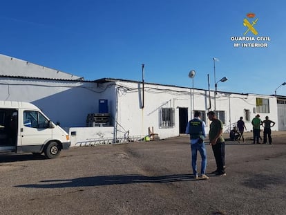 Imágenes facilitadas por la Guardia Civil durante la actuación contra una pareja acusada de explotar laboralmente a nueve temporeros, en Alicante.