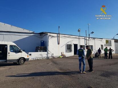 Imágenes facilitadas por la Guardia Civil durante la actuación contra una pareja acusada de explotar laboralmente a nueve temporeros, en Alicante.