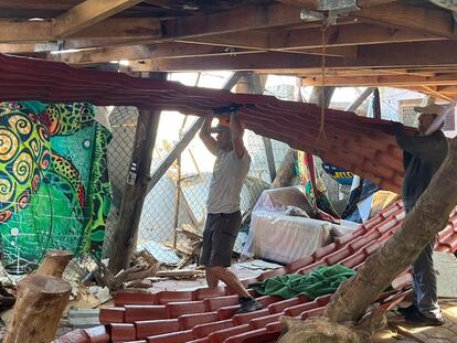 Refugio de tortugas en Acapulco, Guerrero, destruido por el huracán Otis