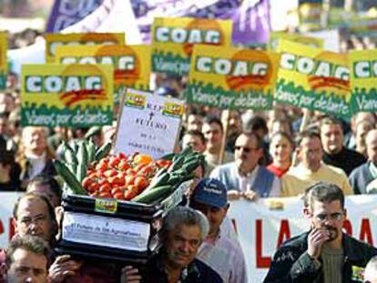 Agricultores de Almería, durante la manifestación convocada ayer por Coag.