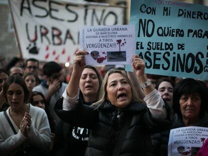 Concentración animalista en Barcelona el pasado diciembre por la perra Sota.