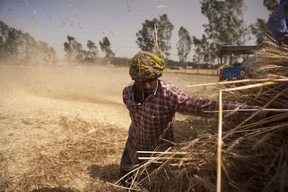 El calentamiento global aumenta la posibilidad de que se produzca desabastecimiento de agua y alimentos. Frente a esta situación, la industria actúa de dos formas: adaptándose o innovando. En la imagen, un campesino en la India.