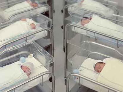 Bebés en el nido de un hospital.