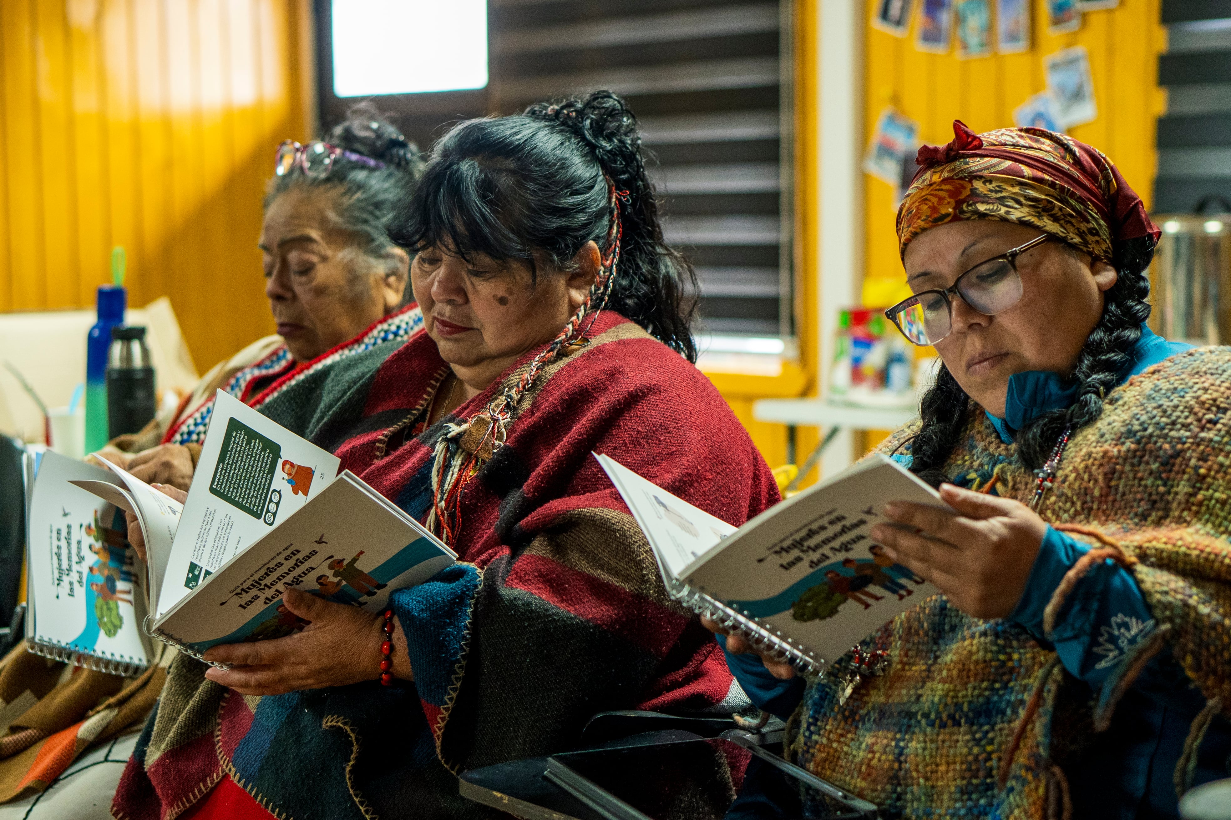 Latina y comunitaria: la red de mujeres chilenas que muestran en la COP17 cómo hacer monitoreo de la biodiversidad