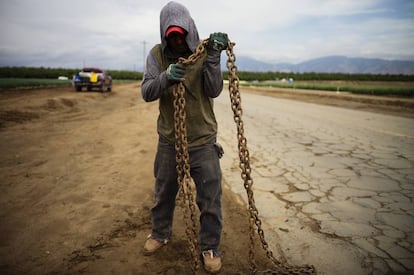Un bracero mexicano utiliza una gruesa cadena para intentar tirar de un tractor que ha quedado atrapado en el barro.