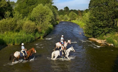 Caballos cruzando el río Segre en Puigcerdà (Girona).