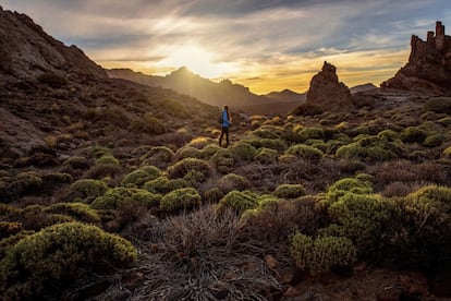 The biggest and oldest national park in the Canary Islands and a world heritage site since 2007, this is not only the most visited of Spain’s national parks, it is also one of the most popular in Europe. Cañadas del Teide rears up from the center of the island and is one of the planet’s most spectacular examples of a volcanic ecosystem. Lava formations and caves create an extraordinary mix of colors and shapes. It boasts flora endemic to the area and a number of invertebrates.