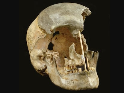 El cráneo de una mujer que vivió hace unos 45.000 años en República Checa, uno de los restos analizados.