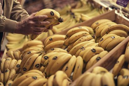 Plátano de Canarias