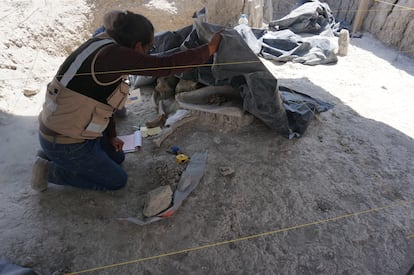 Alejandro Jiménez Sánchez excavando restos de mamuts en Santa Lucía.