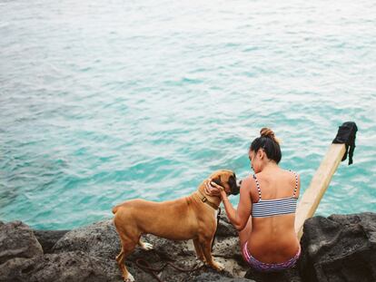 Cinco destinos (y playas) para unas vacaciones con mascota