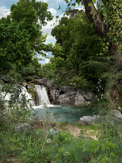‘Parque Natural 3’ de José Ramón Ais.