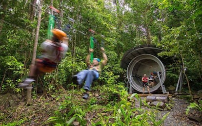 Tirolina en los bosques del parque nacional Daintree Cape Tribulation, en Queensland (Australia).