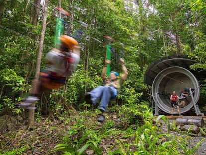 Tirolina en los bosques del parque nacional Daintree Cape Tribulation, en Queensland (Australia).