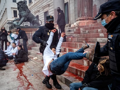 Agentes de la Policía detienen a varios miembros de Rebelión Científica que protestaban frente al Congreso de los Diputados, en 2022.