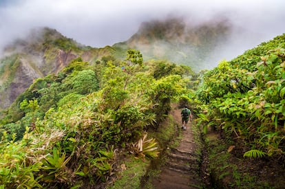 Un senderista en el parque nacional Morne Trois Pitons.