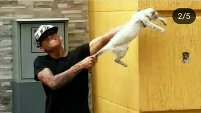 Imagen publicada por uno de los jugadores donde aparecen maltratando a un gato.