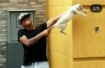 Imagen publicada por uno de los jugadores donde aparecen maltratando a un gato.