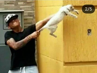 Imagen publicada por uno de los jugadores donde aparecen maltratando a un gato.