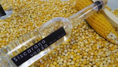 El vodka Siscarana, un proyecto final de carrera de la Universidad M. Hernández de Elche
