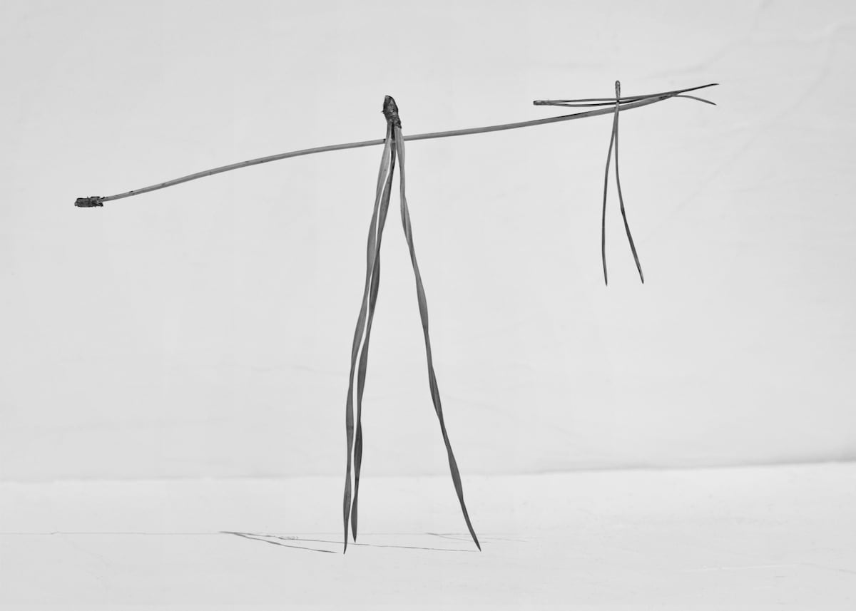 Hojas de pino, objetos de arte
