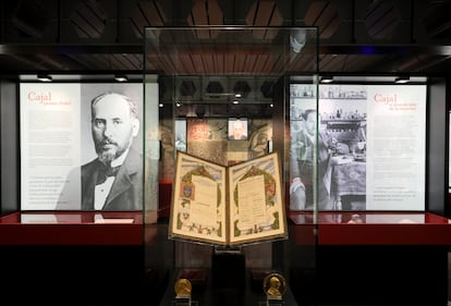 The Madrid exhibition displays Ramón y Cajal’s diploma and the Nobel Prize for Medicine’s gold medal, together with the Helmholtz medal, awarded to the Spanish scientist in 1905. 