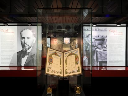 Parte de la exposición dedicada a Ramón y Cajal en el Museo Nacional de Ciencias Naturales.